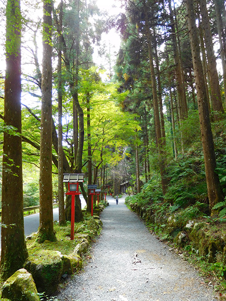 【新婚旅行】京都・貴船神社|中国・九州・四国6日間の旅