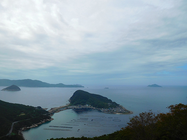 【新婚旅行】高知・柏島|中国・九州・四国6日間の旅