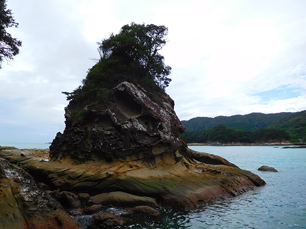 【新婚旅行】高知・竜串海岸|中国・九州・四国6日間の旅