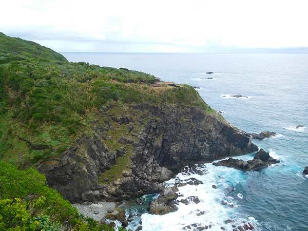 【新婚旅行】高知・足摺岬|中国・九州・四国6日間の旅
