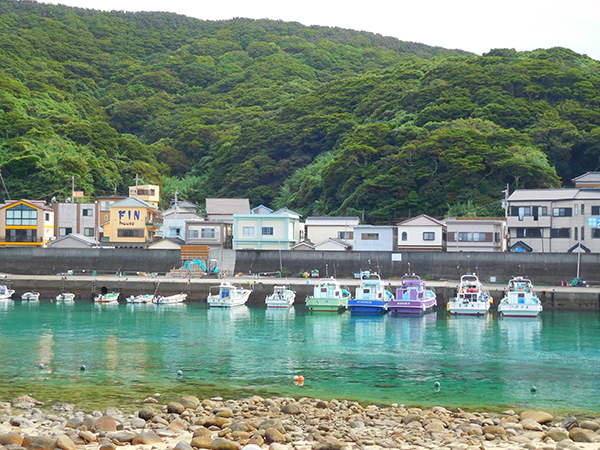 【新婚旅行】高知・柏島|中国・九州・四国6日間の旅