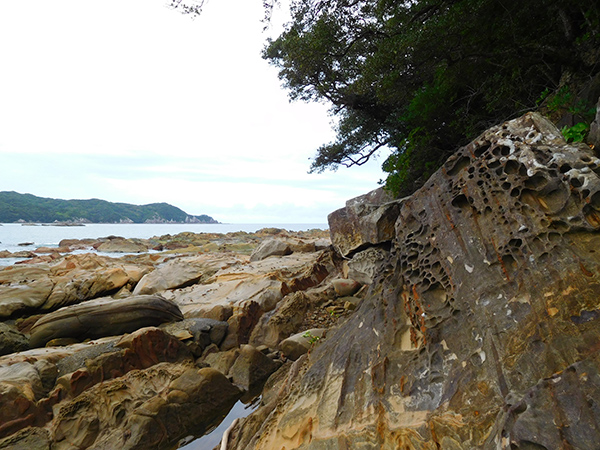 【新婚旅行】高知・竜串海岸|中国・九州・四国6日間の旅