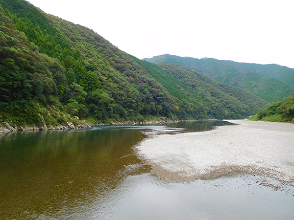 【新婚旅行】高知・四万十川|中国・九州・四国6日間の旅