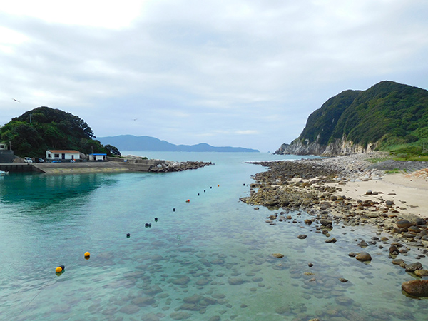 【新婚旅行】高知・柏島|中国・九州・四国6日間の旅