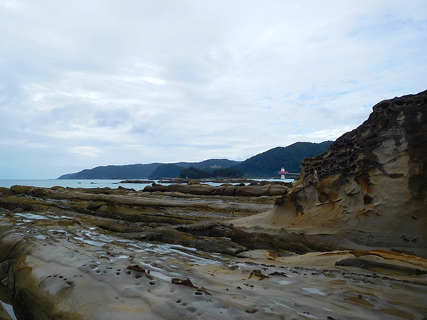 【新婚旅行】高知・竜串海岸|中国・九州・四国6日間の旅