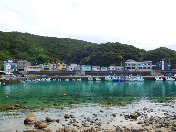【新婚旅行】高知・柏島|中国・九州・四国6日間の旅