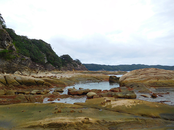 【新婚旅行】高知・竜串海岸|中国・九州・四国6日間の旅