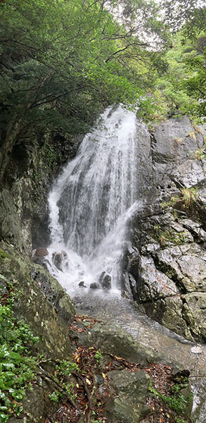 屋久島の旅|布引の滝|書道家藤井碧峰