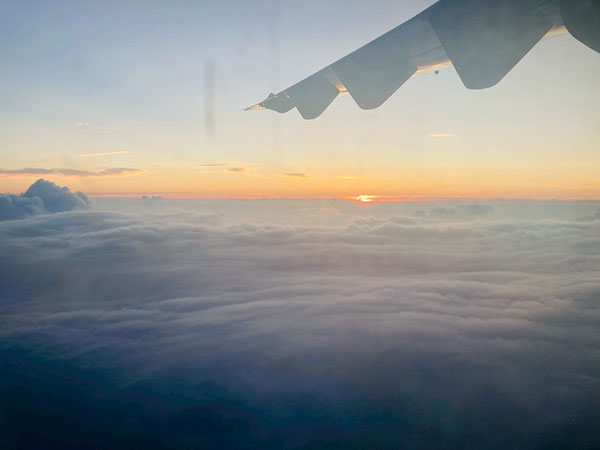 屋久島の旅|JAL飛行機・鹿児島|書道家藤井碧峰