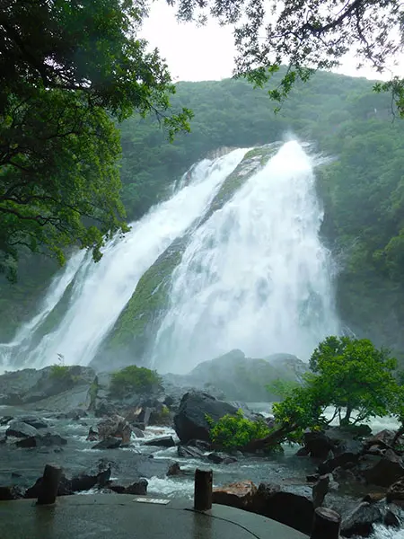 屋久島の旅①｜神秘の島で水と自然を堪能 | 藤井碧峰｜正統派書道家