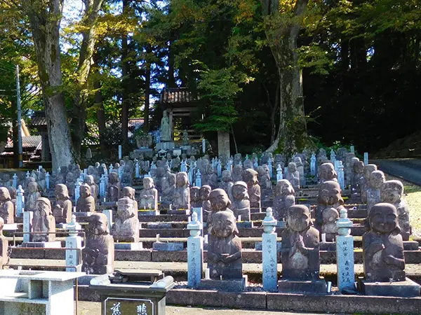 水上碧雲先生の字を追体験｜石碑に墨入れ｜砺波市の薬勝寺にて | 藤井