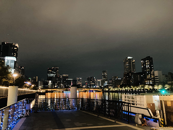 【増山城御城印】揮毫と【犬殿プロジェクト】打ち上げ|書作品の制作・販売|書道家藤井碧峰|