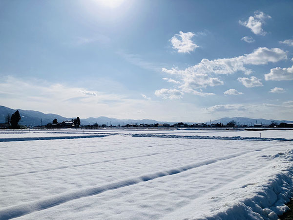 書家や書道教室をするうえで気を付けたこと④|顔出ししない、地元の業者を大切に