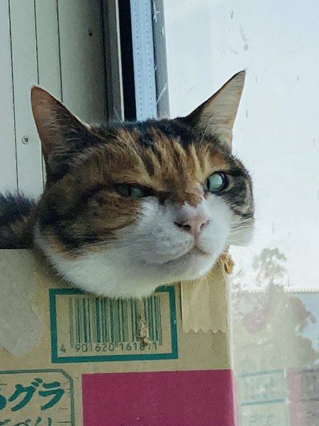 藤井碧峰が考える書道教室(習いごと)の上手な運営方法