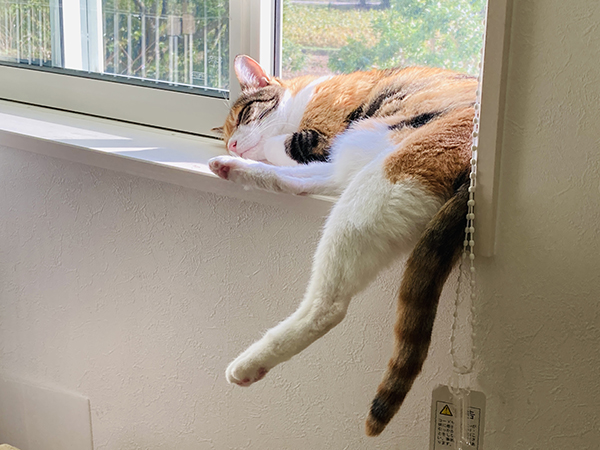 藤井碧峰が考える書道教室(習いごと)の上手な運営方法