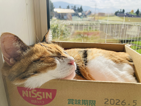 藤井碧峰が考える書道教室(習いごと)の上手な運営方法