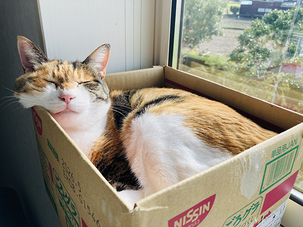 藤井碧峰が考える書道教室(習いごと)の上手な運営方法