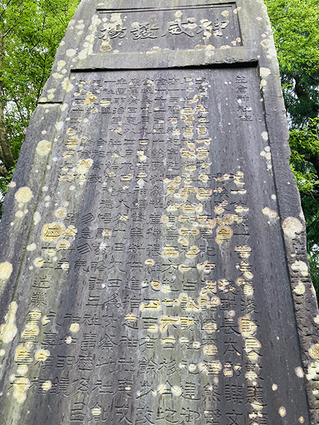 何だか惹かれる字|日下部鳴鶴先生に感化され続ける人|書道家藤井碧峰