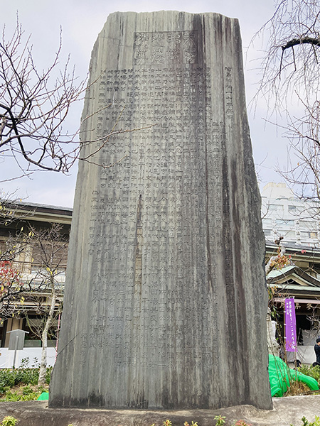 何だか惹かれる字|日下部鳴鶴先生に感化され続ける人|書道家藤井碧峰