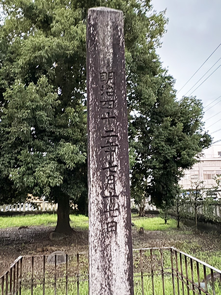 何だか惹かれる字|日下部鳴鶴先生に感化され続ける人|書道家藤井碧峰