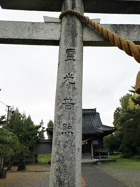 何だか惹かれる字|日下部鳴鶴先生に感化され続ける人|書道家藤井碧峰