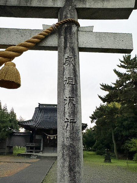 何だか惹かれる字|日下部鳴鶴先生に感化され続ける人|書道家藤井碧峰